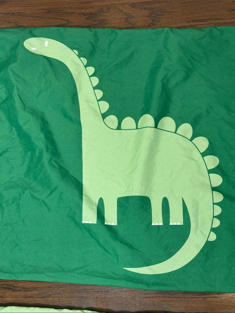 Kids Dinosaur Print Pillowcase Set - Green